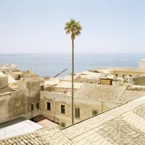 Foto di una città siciliana con una grande palma