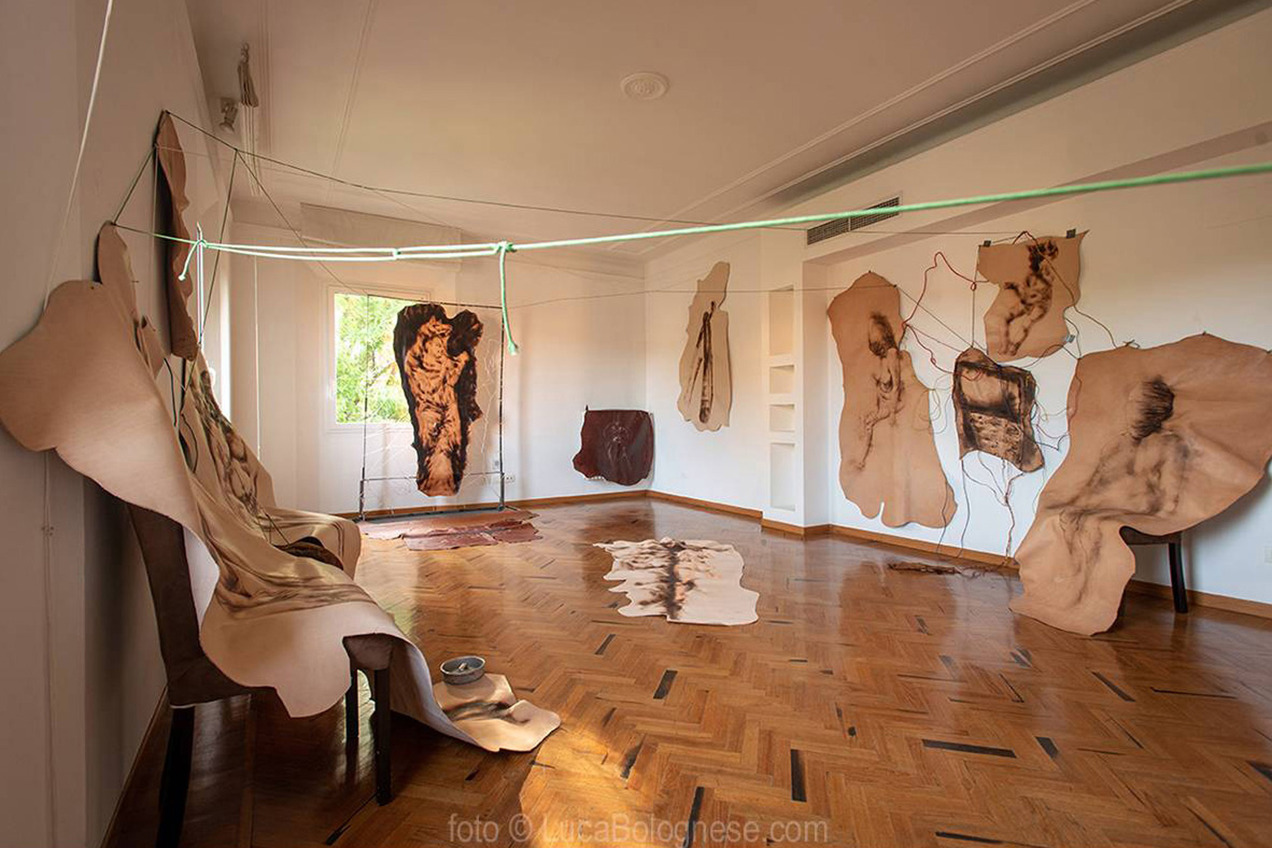 Galleria-Studio-Cenacchi-BOL_5628-fasc